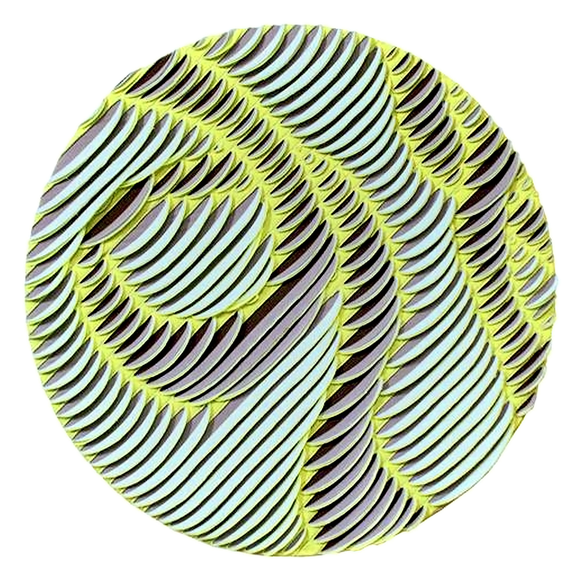 6 M CIRCULO1